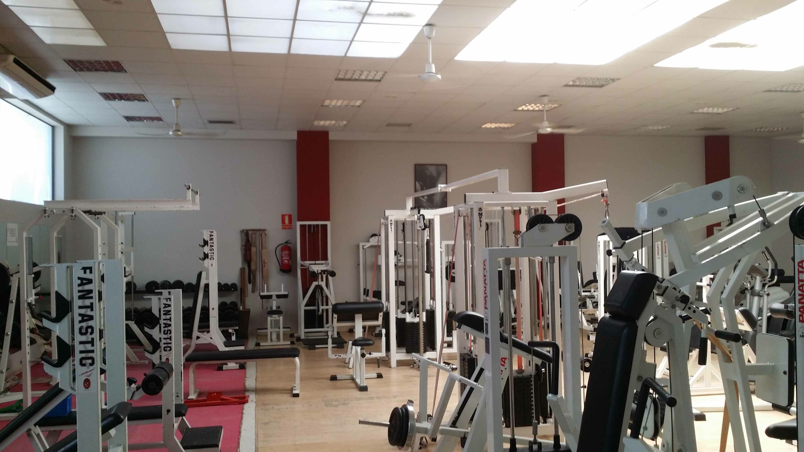 gym3