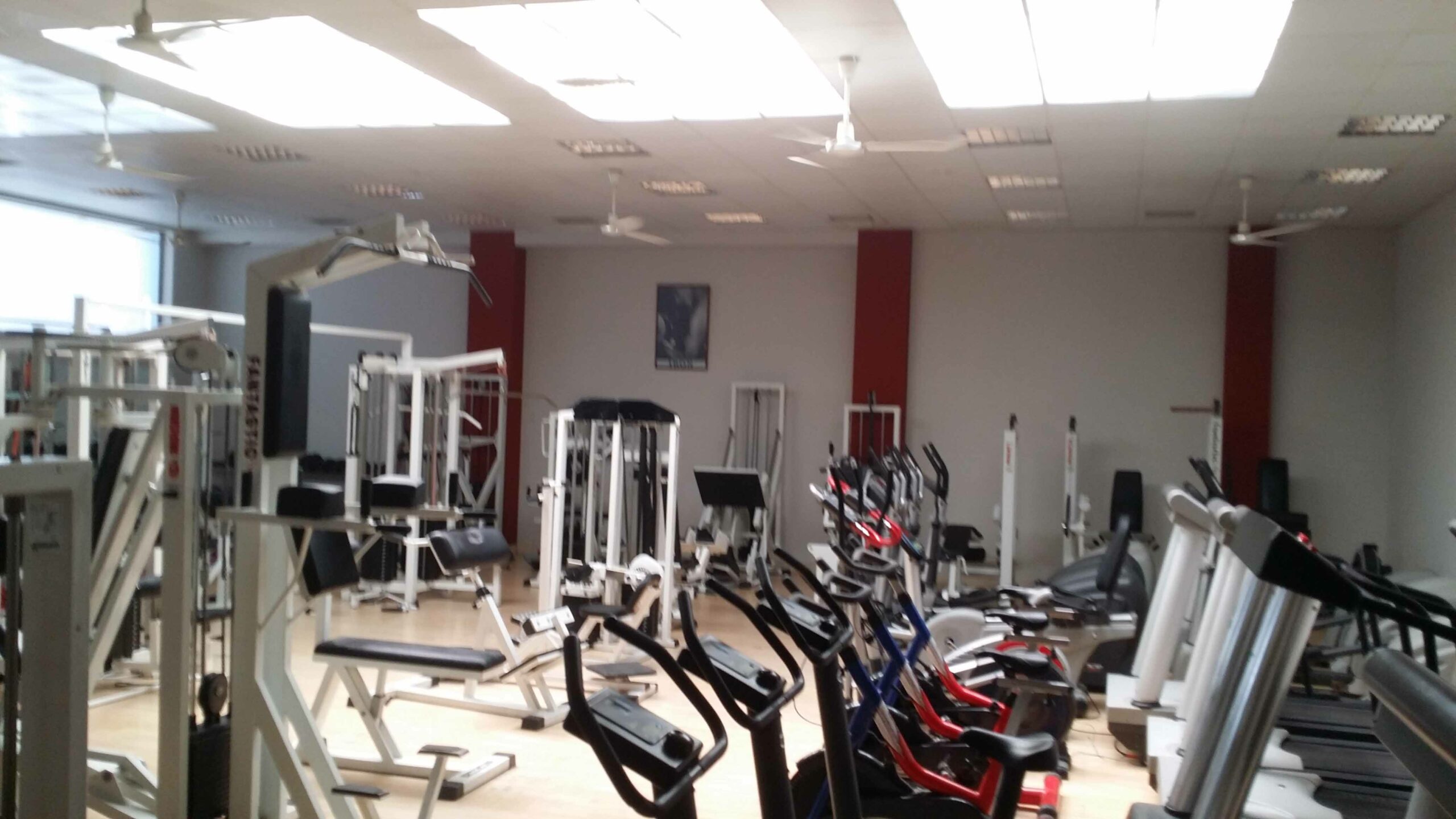 gym4